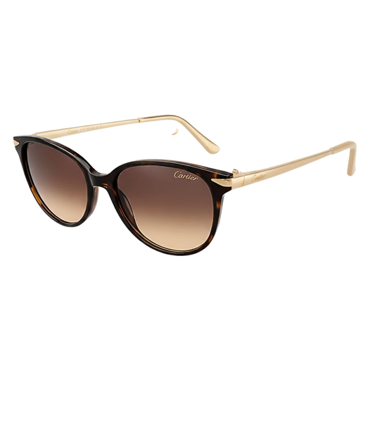 Gafas Cartier Santos