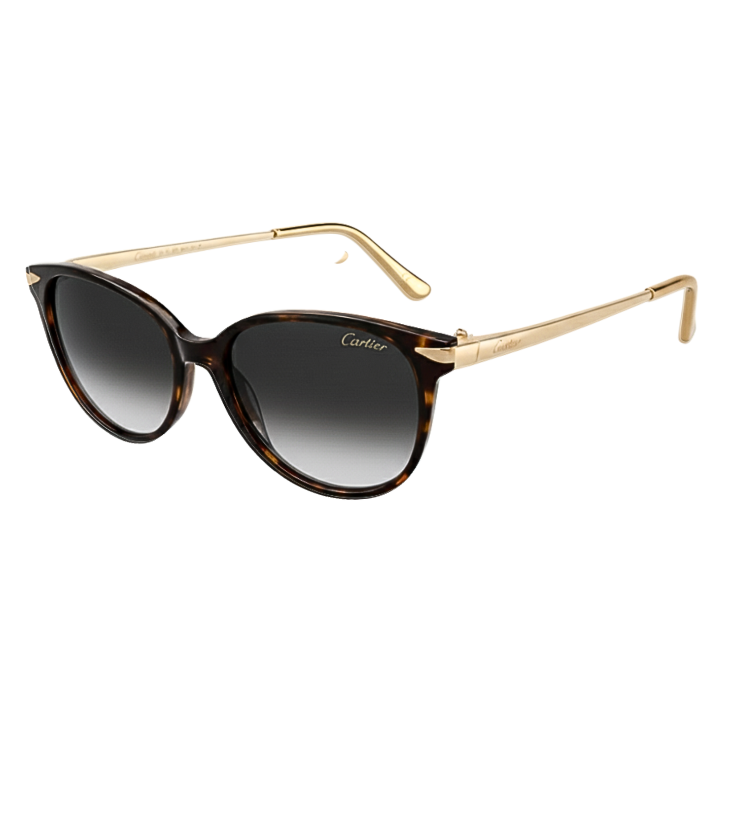 Gafas Cartier Santos