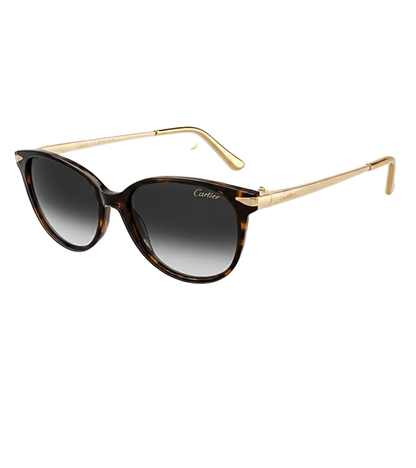 Gafas Cartier Santos